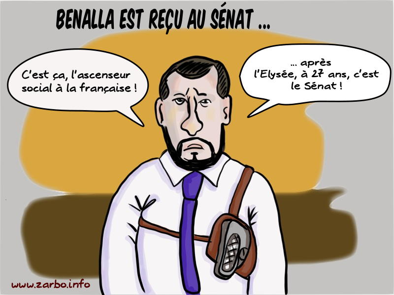 benalla au sénat